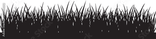 A black silhouette of grass against a white background
