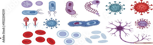 An intricate illustrative compilation showcasing a diverse range of microorganisms, viruses, and essential human cells for educational and scientific health concepts