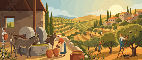 Traditional Mediterranean olive oil harvest and press scene vector illustration with workers picking olives on terraced hills, donkeys powering a stone mill, and oil stored in clay jars.