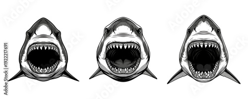 Great White Shark Head with Open Mouth and Sharp Teeth Vector Silhouette Set