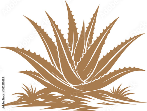 Aloe Vera Plant Silhouette Botanical Vector Illustration.