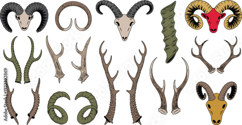 Animal horns and antlers illustration collection, deer and ram skull trophy set, vintage wildlife design vector, isolated white background