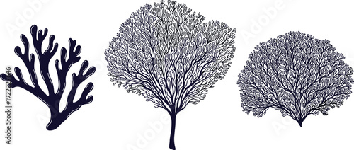 Marine Coral Silhouette Collection with Sea Fan and Reef Branches Vector Illustration Isolated on White Background