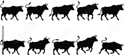 Running Bull Silhouette Collection Spanish Fighting Bull Poses Vector Illustration Set Isolated on White Background