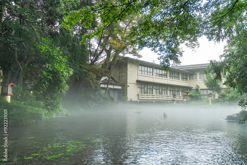富士山本宮浅間大社・湧玉池の朝景：霧に包まれる参集所と神聖なる湧水 / Morning View of Wakutama-ike Pond: The Sanshusho Shrouded in Mist and Sacred Spring Water