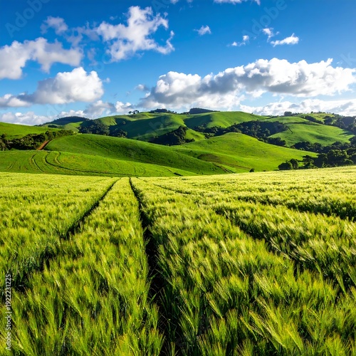 A serene landscape of rolling green hills and a vast wheat field
