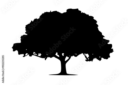 Silhouette of a majestic tree against a plain background