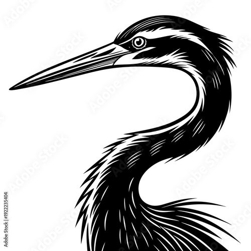 heron silhouette isolated on white