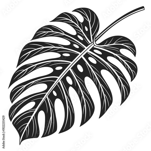 black and white flower