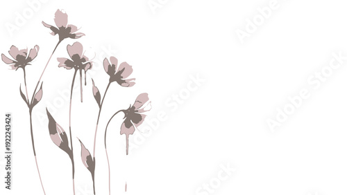 Delicate Pink Flowers on White