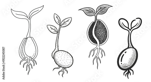 set of flowers and leaves