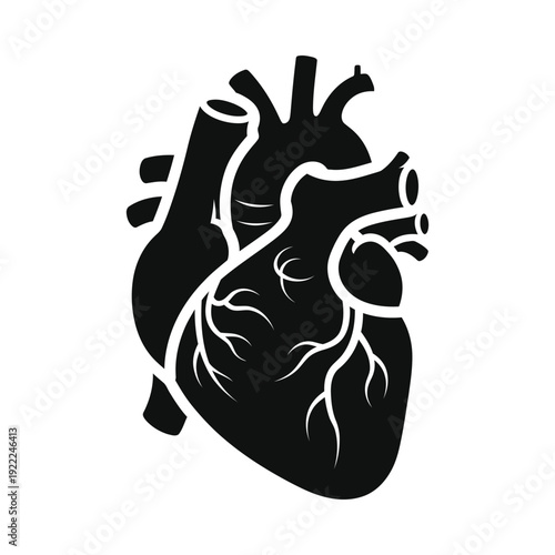 Detailed anatomical illustration of a human heart on a, ui elements
