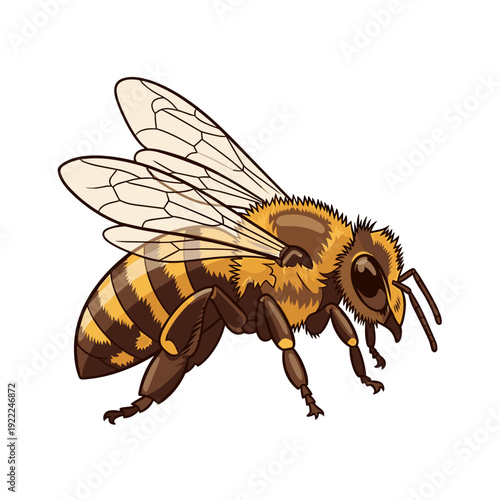 Detailed Golden Honey Bee Graphic for Natural Food Branding