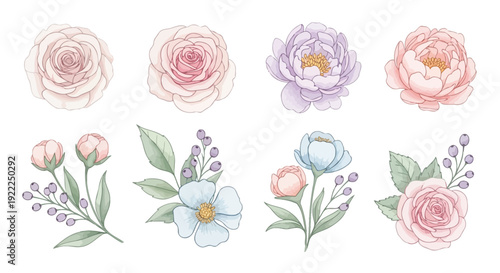 set of flowers