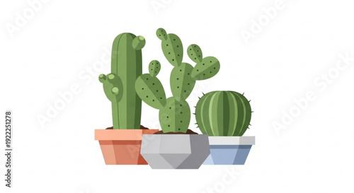 Three colorful potted cacti and succulents on white background perfect for decoration and interior design