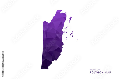 Belize Map - Polygon Style Vector Illustration in Deep Purple Gradient, Low Poly Geometric Design, Isolated on White Background for Infographics and Digital Use.