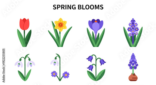 Eight illustrated spring flowers arranged in two rows of four against a white background