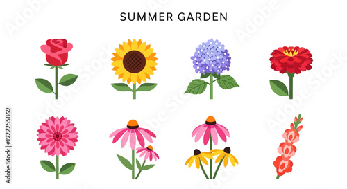 Eight distinct illustrations of summer garden flowers on a white background