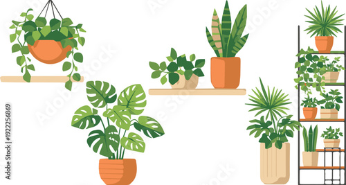 Indoor houseplants in pots hanging planter shelf home decor greenery flat vector illustration set!