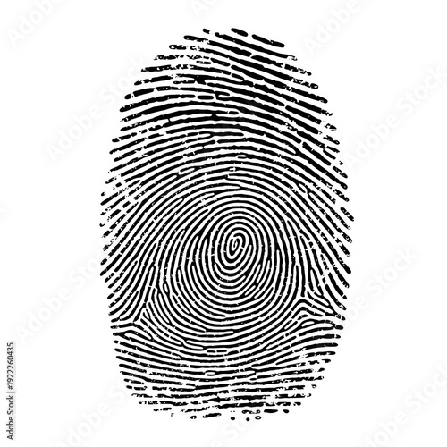 High Detail Black Fingerprint Pattern for Identity Verification