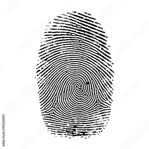 Realistic Biometric Identity Mark Texture for Modern Security