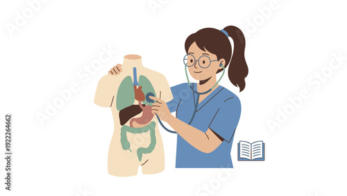 Medical professional examining internal organs on human anatomy torso model with stethoscope. Healthcare education and study illustration.