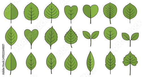 Collection of various green leaves and foliage displayed in a grid arrangement, viewed from directly above, showcasing diverse shapes and sizes.