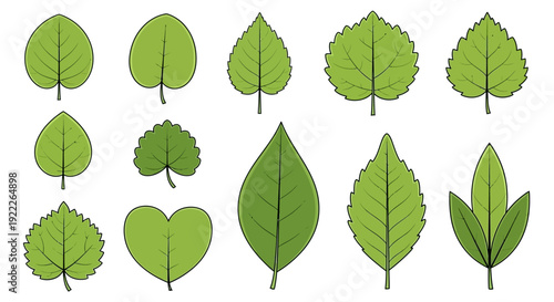 Collection of diverse leaves displayed in a grid arrangement showcasing various shapes and textures from different plants and trees