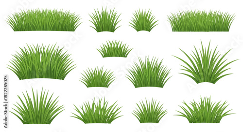 Collection of various grass clumps and tufts in different shapes and sizes, illustrated in green, on a plain background, viewed from directly above.