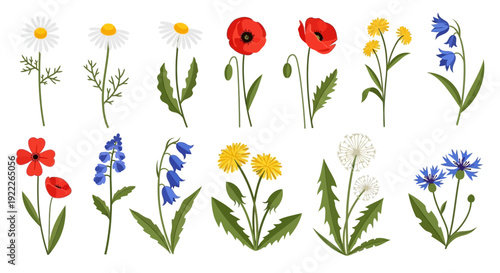 Collection of embroidered flowers including daisies, poppies, and forget-me-nots in a floral arrangement