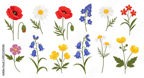 Assorted colorful flowers and leaves arranged in a whimsical illustration, Whisk eps art style