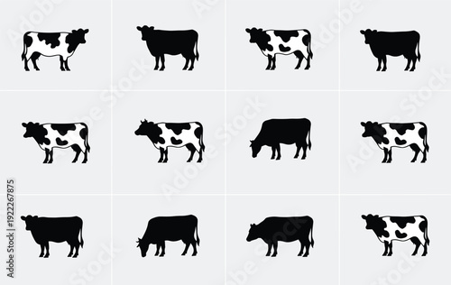 Cow silhouettes vector set, farm cattle poses collection for agriculture, livestock, dairy farming and rural animal design