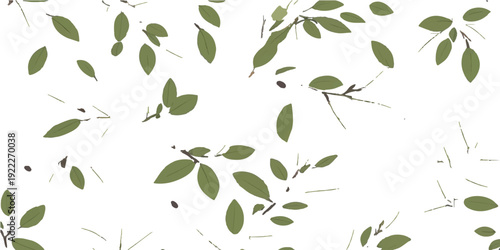 Seamless vector illustration of a floral pattern featuring green olive leaves and spring plant foliage on a natural branch design for a decorative summer nature background