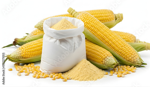 A studio image of fresh yellow corn cobs and a sack of corn flour with loose corn kernels on a white background. The image represents agricultural products, food processing, and natural ingredients
