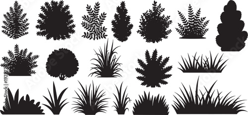 Bush grass botanical shrub plant silhouette vector set, garden landscape foliage meadow floral leaf wild nature collection. wild bush plants vector illustration