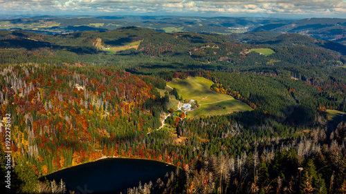 View from the Feldberg to the Feldsee in the Black Forest