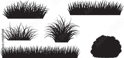 Grass silhouette vector set, wild bush plants, vector illustration