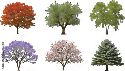 Set of six different stylized tree illustrations, including deciduous and coniferous species, for landscape design and architectural plans. Vector illustration.