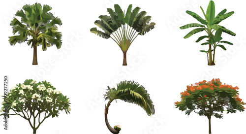 Collection of tropical trees and plants, including palm, banana, and flowering trees, stylized flat design elements vector illustration set