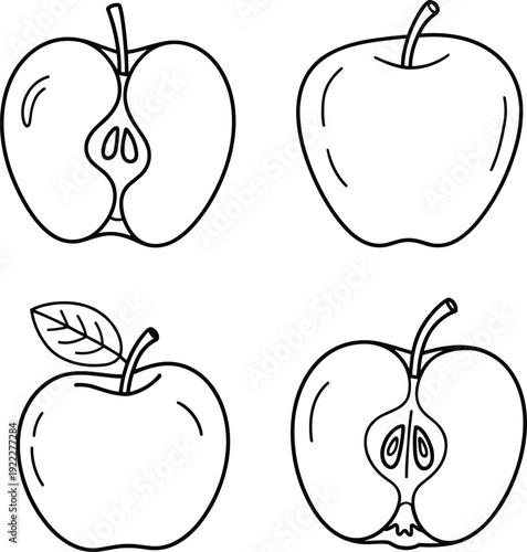 Hand drawn apple set with whole and sliced views, black and white outline illustration, minimal fruit sketch collection isolated, healthy food concept for design and coloring