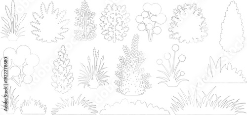 Plant elevation line silhouettes outline - grass, shrub, tree big set vector, grass line cad and silhouettes isolated on white background.