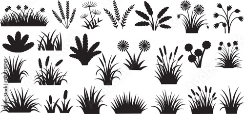 Grass silhouettes wildflower meadow plants cattail reeds bushes creating a botanical illustration for nature landscape garden decorations, vector illustration