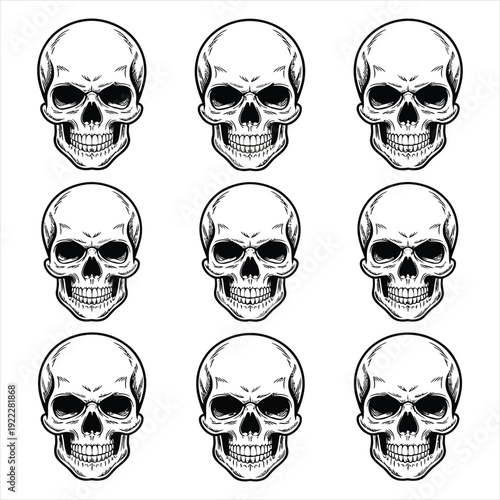 Grid of realistic human skull anatomical drawings in black ink style