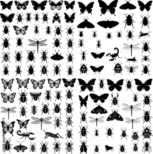 A black and white grid featuring various insect silhouettes, including butterflies, beetles, dragonflies, and scorpions