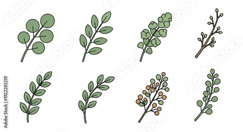 A collection of hand-drawn green leaves and branches in a minimalist vector style, suitable for botanical design projects