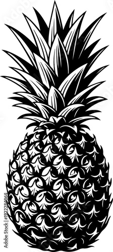 Pineapple silhouette vector illustration
