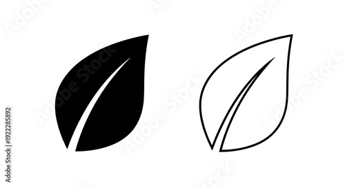 Minimalist leaf designs: simple black and white leaf illustrations for modern graphics Vector