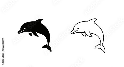 Two dolphin illustrations in black and white line art style Vector