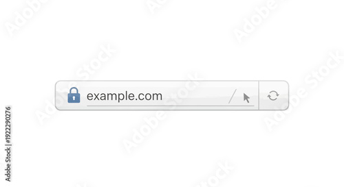 Secure website address bar with padlock icon and example.com text.