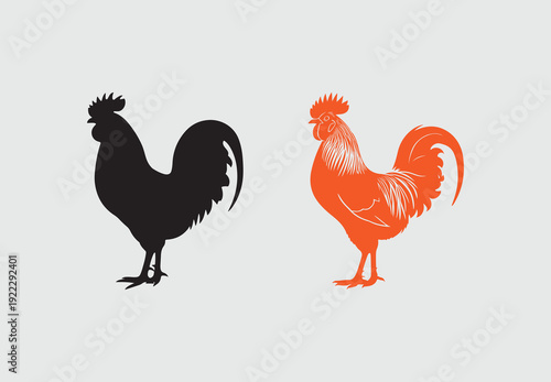 Rooster isolated on white background